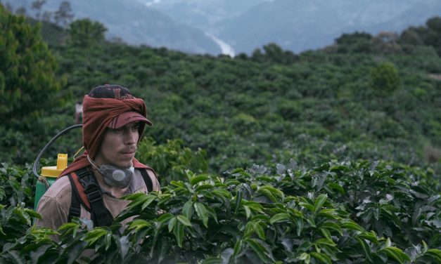 ‘La Roya’ de Juan Sebastián Mesa inaugurará el FICCI 61