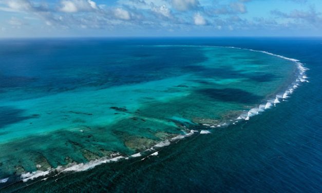 El documental «Colombia Azul» celebra la protección del 30% de los océanos del país