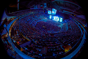 Los-Caligaris-Sold-Out